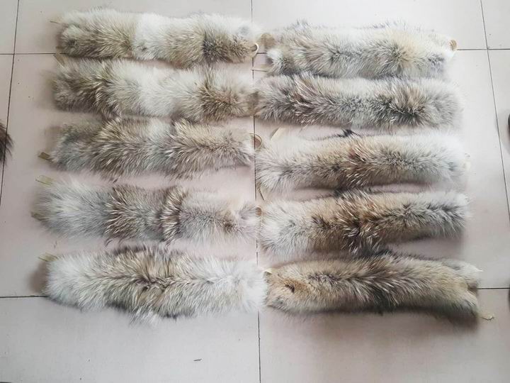 毛領(lǐng)行業(yè)，你繞不過去這些的坑