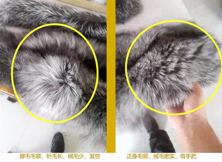 387 - 《創(chuàng)始人說 - 買皮草毛領(lǐng)衣服毛領(lǐng)，除了價格，廠家不會告訴你下面這些》