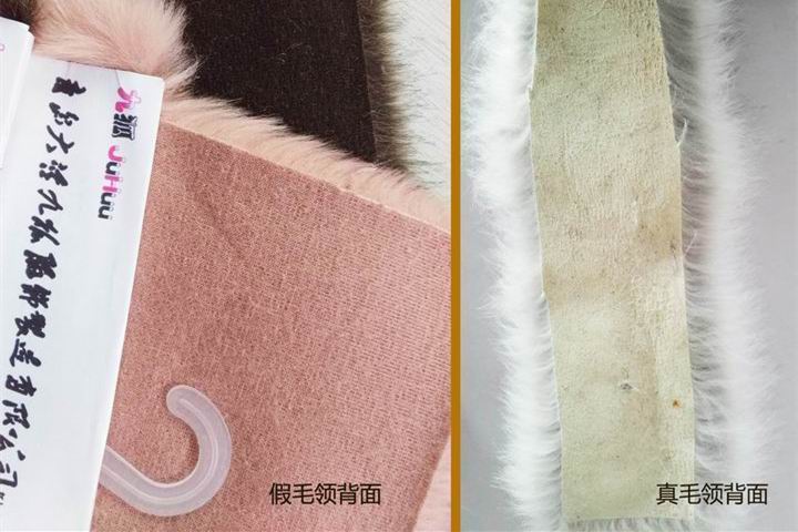 396 -《真毛領(lǐng)子、假毛領(lǐng)子怎么辨別？小心獺兔毛領(lǐng)子替換水貂毛領(lǐng)子！》