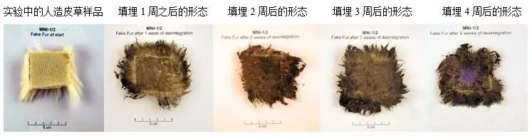 【很多品牌宣布棄用皮草毛領(lǐng)但還在使用皮革羽毛。這矛盾說明了啥？】
