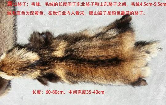 哪種毛領(lǐng)好？站在廠家的角度說(shuō)一說(shuō)-677