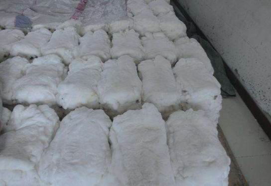獺兔毛和貉子毛哪個(gè)好？做毛領(lǐng)用哪個(gè)？-686