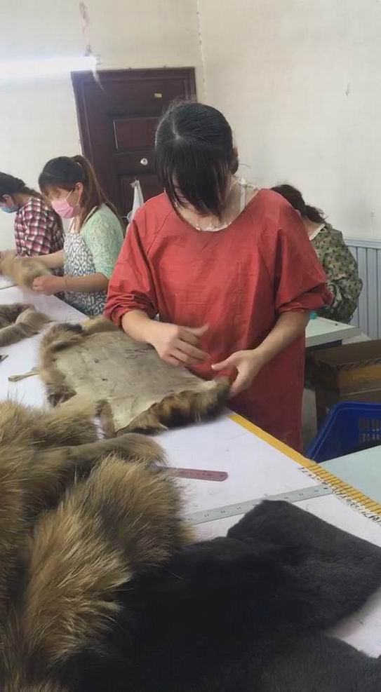 貉子毛和狐貍毛的區(qū)別？-690