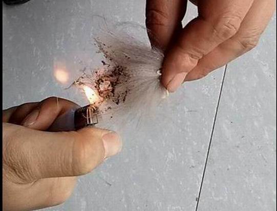 真狐貍毛怎么鑒別？-694