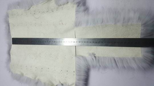 真狐貍毛怎么鑒別？-694