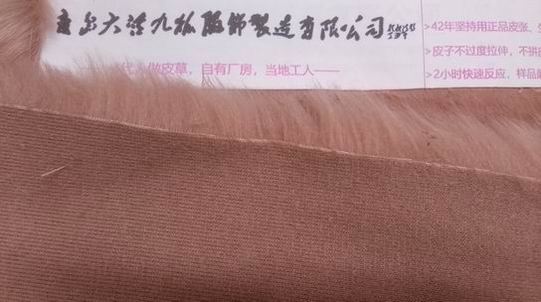 真狐貍毛怎么鑒別？-694