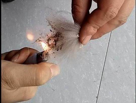 狐貍毛真假？看這幾個(gè)地方就能分開！-697