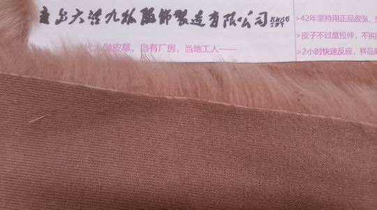 狐貍毛真假？看這幾個(gè)地方就能分開！-697
