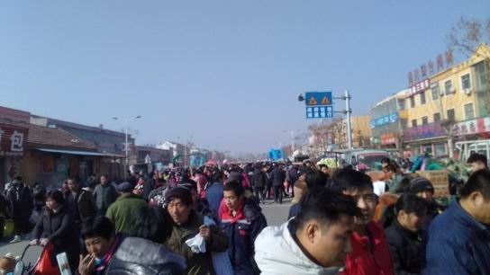 轟轟烈烈的2019灰家過年結(jié)束了，小結(jié)這幾天的經(jīng)歷