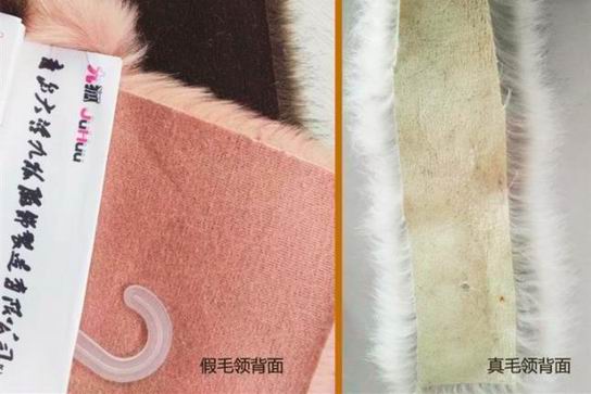 真假狐貍毛領(lǐng)子怎么區(qū)分不上當？-742