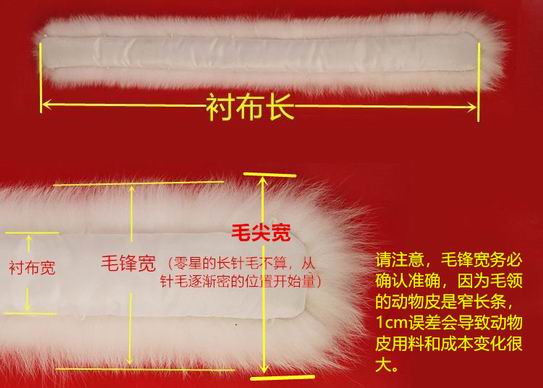 毛領(lǐng)-帽領(lǐng)-毛條-帽條，四個稱呼什么區(qū)別呢？-755