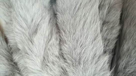 常用的衣服毛領(lǐng)有哪些動(dòng)物毛的？-766
